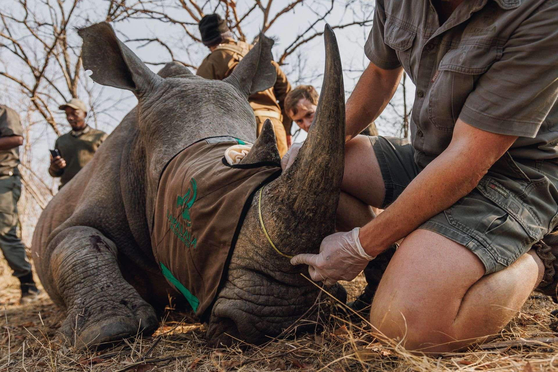 Proud sponsor of conservation projects in Africa